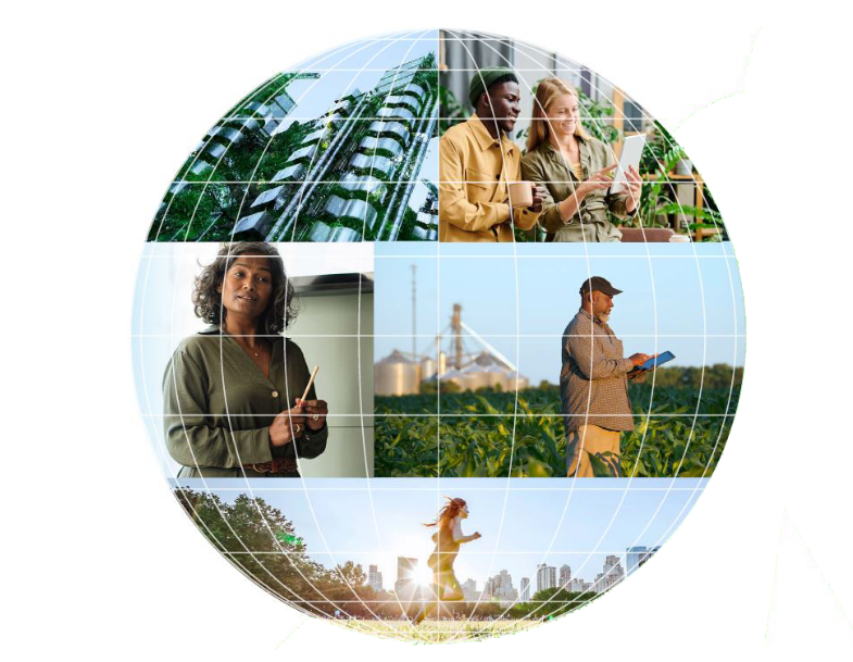 Ny rapport: slik påvirkes arbeidsgivere og arbeidstakere av den grønne omstillingen